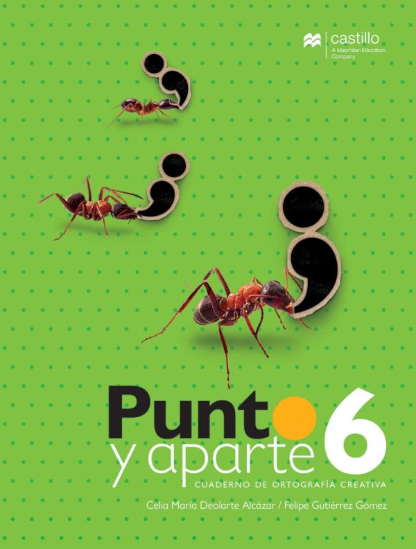Punto y aparte 6 WB 2E